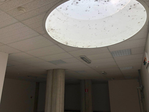 Office/Studio for Rent - Padua